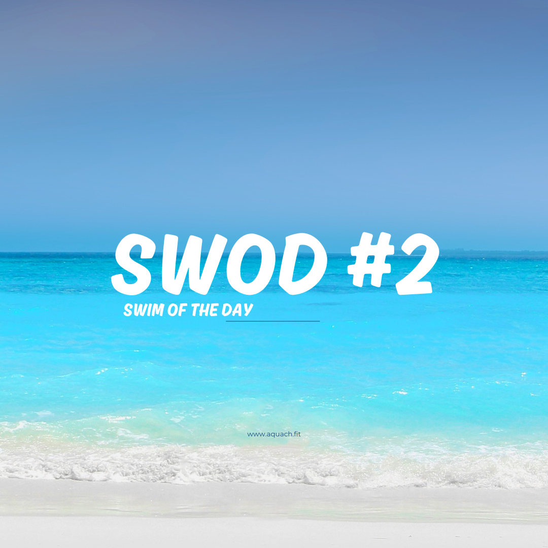 Swim of the Day #2